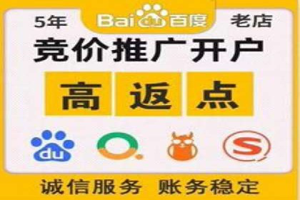 谷歌竞价广告的实时监控与调整策略——某公司经验分享